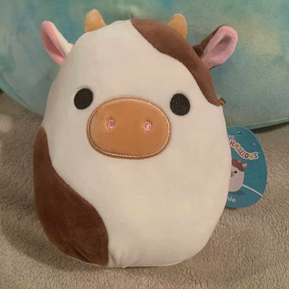 Ronnie Squishmallow